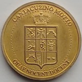 Medalie, Castelul Cantacuzino