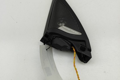 Difuzor ușă st&amp;acirc;nga față BMW 4 Convertible G23, G83 2022 OEM: 9362561 | 31641074 foto