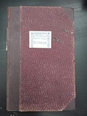 Const. Kiritescu, A. Popovici-Baznosanu - Botanica pentru Clasa a II-a Secundara foto