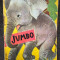 Jumbo, puiul de elefant - F. Sahling