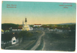 4622 - BUZIAS, Timis, Panorama, Romania - old postcard - unused, Necirculata, Printata