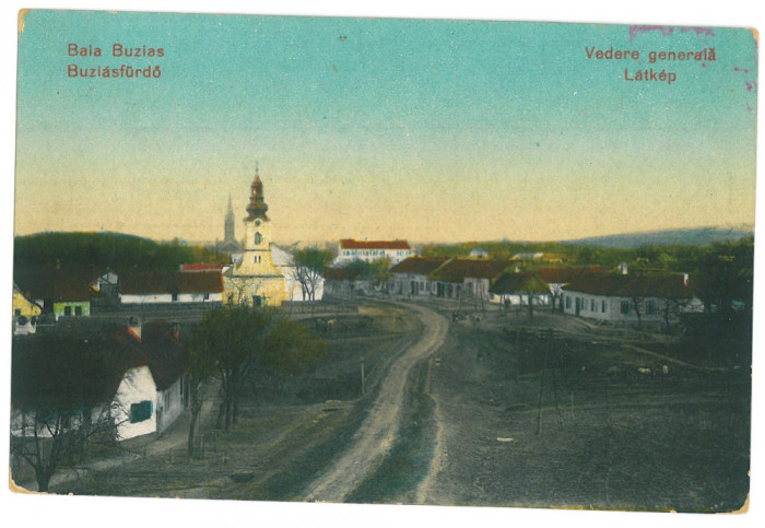 4622 - BUZIAS, Timis, Panorama, Romania - old postcard - unused
