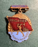 Insigna Brigadier bareta categoria III 3