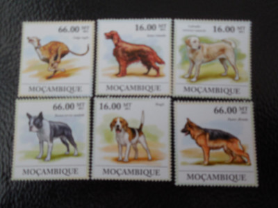 Mozambic -Fauna ,caini-serie completa ,MNH foto