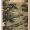 CPIB 17538 CARTE POSTALA - VALEA OLTULUI LA PANUSA, RPR, LIBRARIA NOASTRA