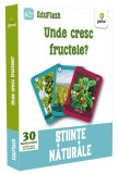 Unde cresc fructele? EduFlash - Paperback brosat - *** - Gama