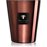 Baobab Collection Les Exclusives Cyprium lum&acirc;nare parfumată 24 cm