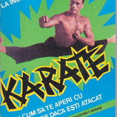 AUGUSTE BASILE - KARATE SAU CUM SA TE APERI CU SUCCES DACA ESTI ATACAT