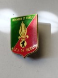 bnk ins Insigna Legiunea Straina - A.L.E.F. de Berlin (Association des Anciens de la L&eacute;gion &Eacute;trang&egrave;re de Berlin).
