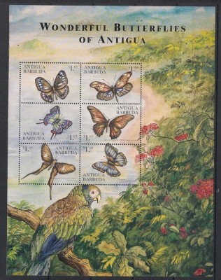 ANTIGUA 2000 FAUNA INSECTE FLUTURI PAPAGALI foto