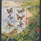 ANTIGUA 2000 FAUNA INSECTE FLUTURI PAPAGALI