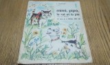 MIMI, PIPO, LE RAT ET LA PIE - 10e Lecon de la Methode DOMI LIRA (1) - L. Chambrette - MATEJA (illustre par:) - Paris, 1963, 12 p.; lb. franceza, Alta editura