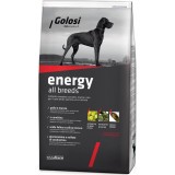 Hrana Uscata Premium Pentru Caini, Golosi Dog Energy, 12 kg