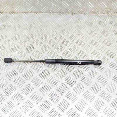 Amortizor capota st&amp;acirc;nga față TESLA MODEL 3 2020 OEM: 1091472-00-B 13630769 foto