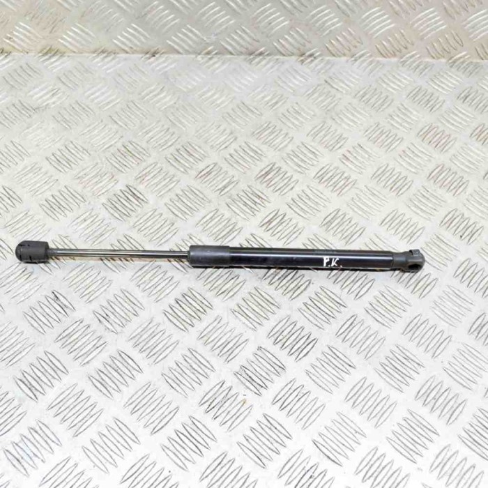 Amortizor capota st&acirc;nga față TESLA MODEL 3 2020 OEM: 1091472-00-B 13630769