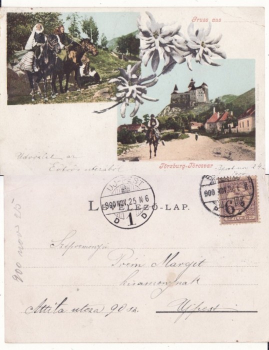 Bran, Torzburg (Brasov) - Castelul Regal, tipuri- clasica, rara