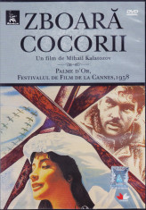 DVD Film de colectie: Zboara cocorii ( Palme d&amp;#039;or 1958; subtitrare romana ) foto