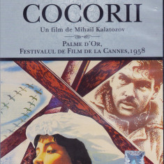 DVD Film de colectie: Zboara cocorii ( Palme d'or 1958; subtitrare romana )