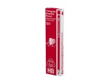 Creion grafit HB Ico Arici 12 bucati cutie