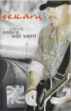 Vasile Șeicaru - P&acirc;nă Seara Voi Veni Caseta Audio Album Intercont Music