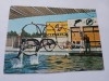 Carte postala delfinariu constamta, Circulata, Fotografie
