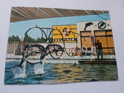 Carte postala delfinariu constamta foto