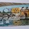 Carte postala delfinariu constamta