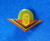 Insigna - PIONIER - Pionier Sportiv - fara clasa