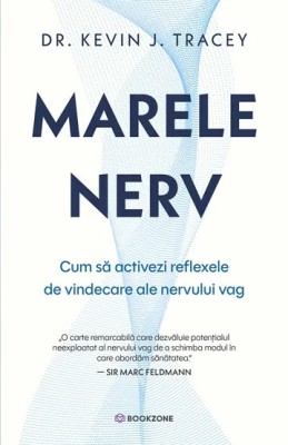 Marele nerv foto