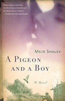 A Pigeon and a Boy foto
