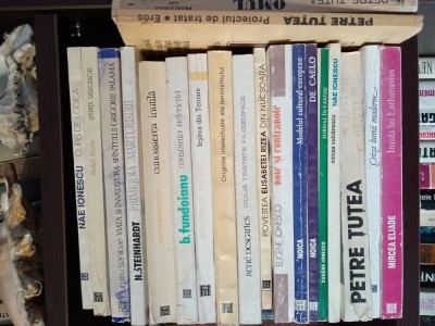 Lot cărți filozofie foto