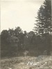 A3920N Lucian Blaga, Caius Brediceanu și membri ai familiei Dobrin, Lugoj, 1925, FOTOGRAFIE MICĂ