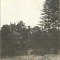 A3920N Lucian Blaga, Caius Brediceanu și membri ai familiei Dobrin, Lugoj, 1925, FOTOGRAFIE MICĂ