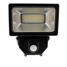 Proiector cu LED SMD 30W 1950lm IP44 4000K Well