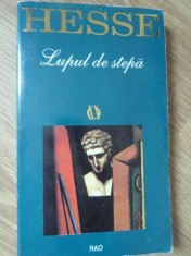LUPUL DE STEPA-HEMANN HESSE-273687 foto