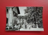 CARTE POSTALA - RPR - SANGEORZ BAI - PAVILIONUL CENTRAL