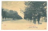 1784 - IASI, Copou garden, Litho, Romania - old postcard - used - 1904