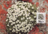 C4960 - Germania 1983 - carte maxima flora