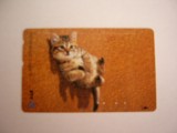 B11 43 - Carduri si cartele telefonice - Japonia - Pisici - piesa de colectie