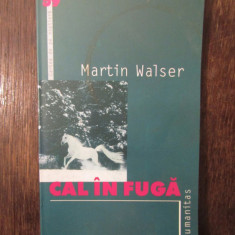 CAL IN FUGA- MARTIN WALSER, 2004