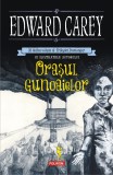 Orasul gunoaielor | Edward Carey