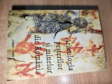 Cumpara ieftin Arheologia pesterilor si minelor din Romania - Vasile Boroneant (cIMeC - 2000)