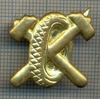 Y 1831 INSIGNA - MILITARA -SEMN DE ARMA - AUTO -PENTRU COLECTIONARI foto