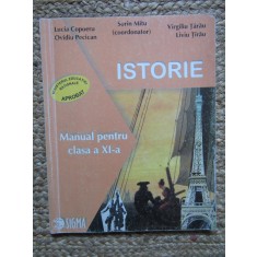 ISTORIE. MANUAL PENTRU CLASA A XI- A - SORIN MITU, LUCIA COPOERU, OVIDIU PECICAN