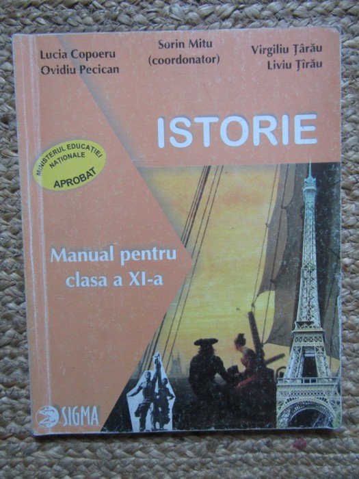 ISTORIE. MANUAL PENTRU CLASA A XI- A - SORIN MITU, LUCIA COPOERU, OVIDIU PECICAN