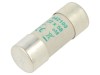 Siguranță AM 100A 500VAC 22x58mm, DF Electric