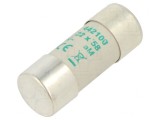 Siguranță AM 100A 500VAC 22x58mm, DF Electric