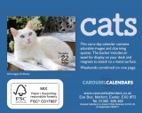 Calendar de birou 2025 - Mini - Cats | Carousel