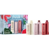 fresh Color and Care Lip Trio set &icirc;ngrijire buze