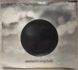 Cumpara ieftin CATALOG EXPOZITIE (MAPA): ANAMARIA SMIGELSCHI (12 reproduceri format 23,5/21 cm)